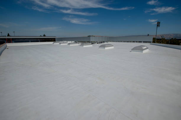 Best Rubber Roofing (EPDM, TPO)  in Chrisman, IL
