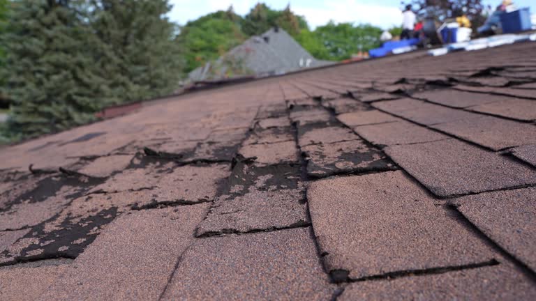 Best Roof Installation  in Chrisman, IL