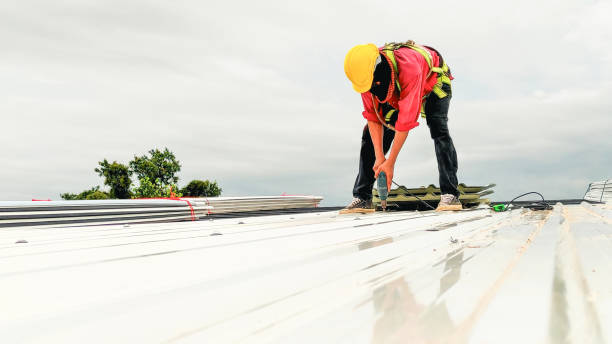 Best Solar Panel Roofing Installation  in Chrisman, IL