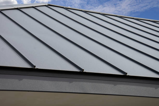 Best Asphalt Shingle Roofing  in Chrisman, IL