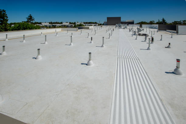 Best Roof Moss and Algae Removal  in Chrisman, IL